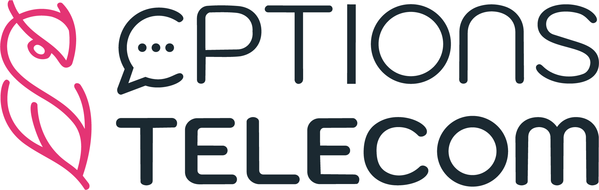 OPTIONS TELECOM